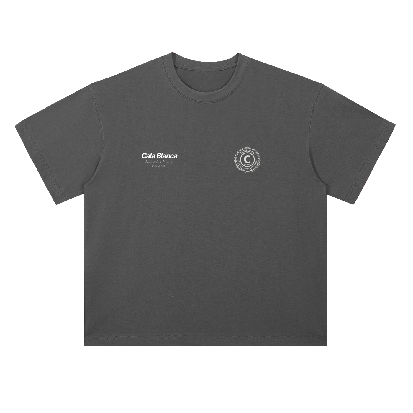 Miami World Camiseta
