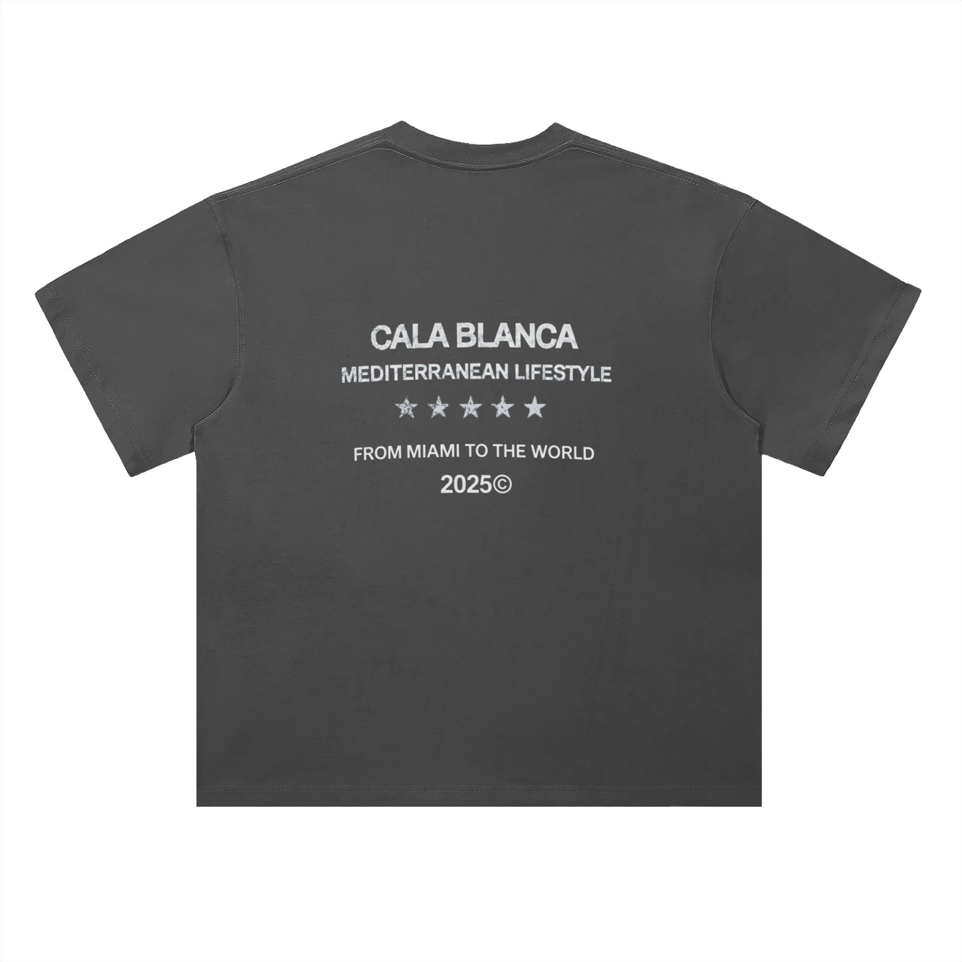 Miami World Camiseta